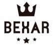 Bexar