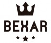 Bexar